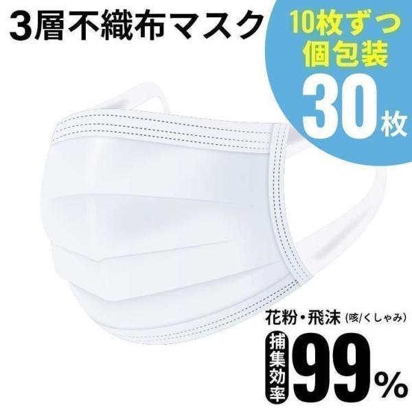マスク 不織布 30枚入り 花粉対策グッズ 使い捨てマスク 耳が痛くない 大きめ BFE99 PFE...