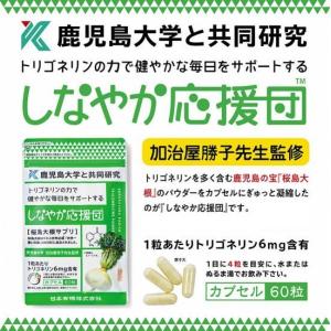 送料無料）（コルテーヌオリジナル）Beauty serum(ビューティーセラム