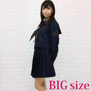 国際学園のセーラー服 冬服 BIG コスプレ 可愛い 制服 スクール セーラー ブレザー 学生服 アニメ アイドル ハロウィン 大きいサイズ 男女兼用 女装 男の娘｜coscommu