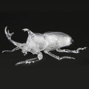 カブトムシ おもちゃ 模型 プラモデル の商品一覧 ゲーム おもちゃ 通販 Yahoo ショッピング