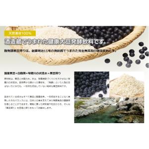 堤酒造 麹発酵黒大豆搾り720ml×6本セット...の詳細画像4