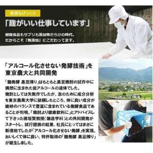 堤酒造 麹発酵黒大豆搾り720ml×6本セット...の詳細画像5