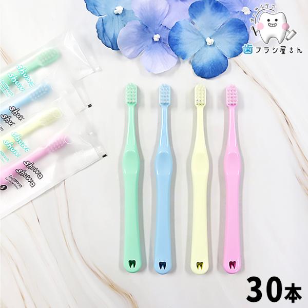 歯ブラシ Ci shuwa shuwa シュワシュワ 無地 ふつう やわらかめ 30本 セット 歯ブ...