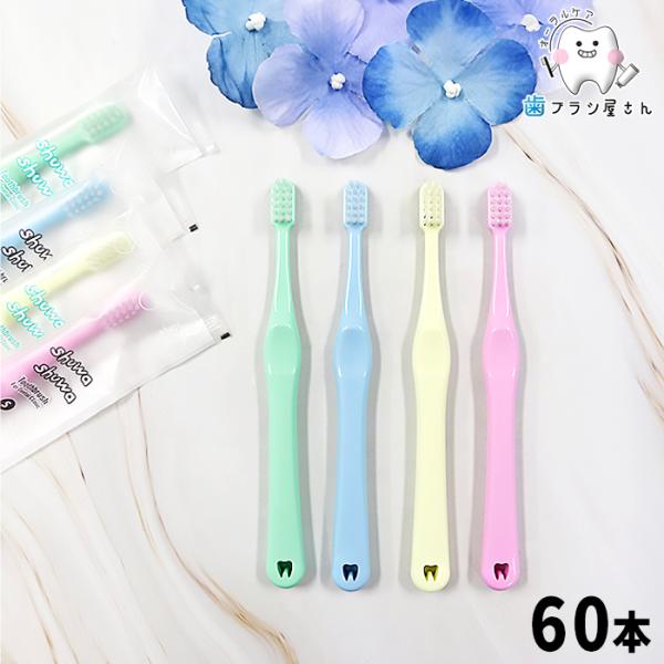 歯ブラシ Ci shuwa shuwa シュワシュワ 無地 ふつう やわらかめ 60本 セット 歯ブ...