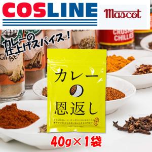 ほぼ日 カレーの恩返し 40g×1袋