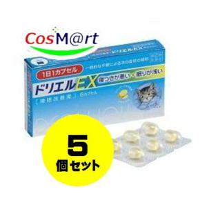 【5個セット】 【指定第2類医薬品】 エスエス製...の商品画像