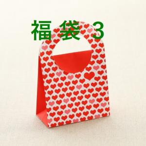 【お買い得】福袋３番(ハイドロ＋レチノ)