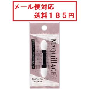 SHISEIDO（資生堂） アイカラーチップ・太&細 （ミニサイズ） 223