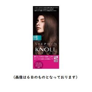 コーセー スティーブンノル カラークチュール カラートリートメント