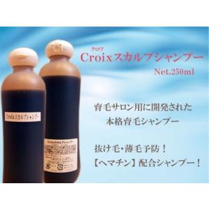 Croixスカルプシャンプー  250ml サロン専売品 スカルプケア 男性 抜毛予防 薄毛対策 女性 薄毛対策に ヘマチン 配合 育毛シャンプー ノンシリコンノンパラベン