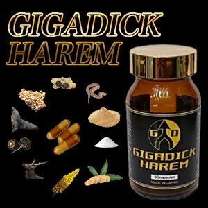 GIGADICK HAREM ギガディックハーレム 送料無料/サプリメント 男性 健康 メンズ