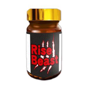 Rise Beast ライズビースト 送料無料/サプリメント 男性 健康 メンズ