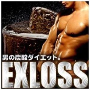 ＥＸＬＯＳＳ（エグゼロス）　