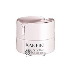 Kanebo カネボウ クリーム イン デイ 40g×1個 スキンケアクリーム - 最