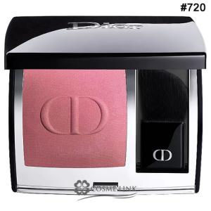 Christian Dior（クリスチャン・ディオール） ディオール DIOR