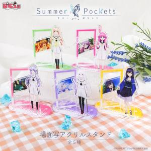 Summer Pockets トレーディング 缶バッジ アニメ グッズ Box