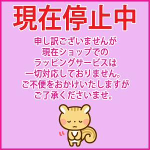 ※※※　現在停止中　※※※セルフラッピングセット(お客様ご自身でラッピング)