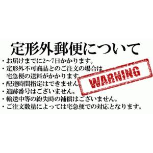 アネッサ オールインワン ビューティーパクト ...の詳細画像3