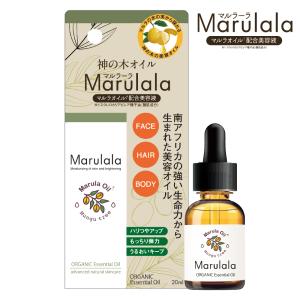 ラ・プレシア リッチローション 300ml 業務用 大容量 La PRECIA