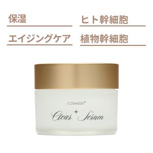 SPTM（セプテム） エイエックス セブン ビーエム セラムE 120g 美容液