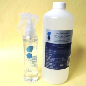 ロクワットアミノシャンプー LOQUAT AMINO 620mL 約3か月分 : cosme