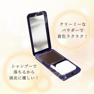 薄毛・白髪ぼかしに 彩髪メーク コンパクト付き...の詳細画像2