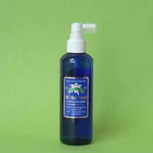 クオレ 【あすつく】 AXI スキャルプ クレンジングオイルS 120ml : B