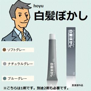 ホーユー白髪ぼかしの商品一覧 通販 Yahoo ショッピング