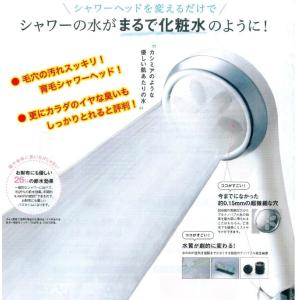 japanstar　ドロップミストナノシャワー　ナノフェミラス　家庭用本体のみ　