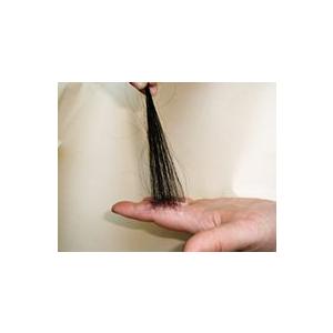 ポワル　ピークヘアー　エミネント　4cm×4cm 1枚 テープ5枚付き　【レターパックライト送料無料...