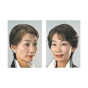 レディースプチヘアー（人毛）ヨコ8cm×タテ6cm