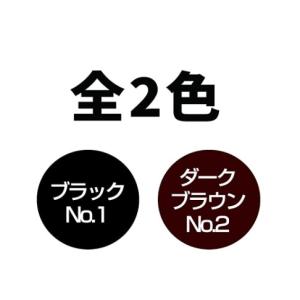 SMHメンズヘアファンデーション 20g 薄毛...の詳細画像1