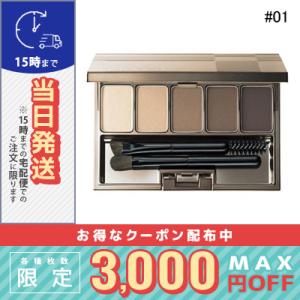 ルナソル スタイリング アイゾーン コンパクト #01 Natural Brown 5.6g/定形外郵便送料無料/ LUNASOL