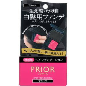 SHISEIDO（資生堂） アウスレーゼ ブリランチンN ポマード 80g : フジ
