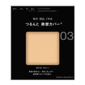 KATE スキンカバーフィルター ファンデーション 05 小麦色の肌 生産終了 KATE(ケイト) ケイト スキンカバーフィルターファンデーション 05 小麦