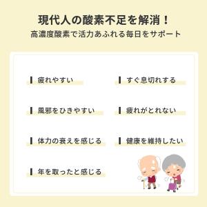 P15倍 酸素発生器 【使い方動画有り】93%...の詳細画像1