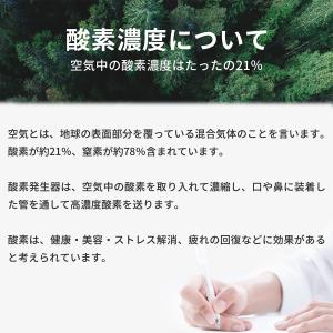 P15倍 酸素発生器 【使い方動画有り】93%...の詳細画像2