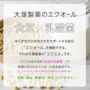 大塚製薬エクオールサプリ エクエルパウチ 12...の詳細画像2