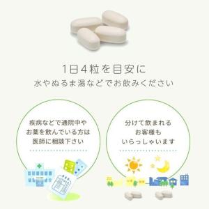 大塚製薬エクオールサプリ エクエルパウチ 12...の詳細画像4