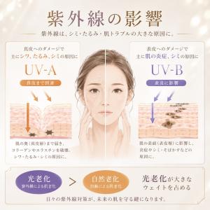 高機能シートマスク24枚セット 植物幹細胞 ビ...の詳細画像3