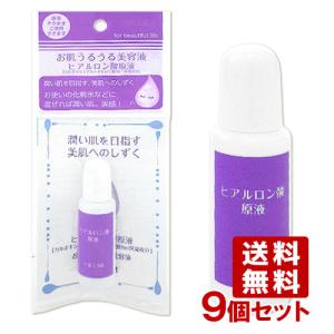 ツーウェイワールド 十美LAB お肌うるうる美容液 ヒアルロン酸原液 14mL×9個セット 2WAY WORLD 送料無料｜cosmebox