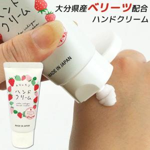 プロ・業務用ハンドクリーム ( 60g )/ プロ・業務用 : 爽快ドラッグ