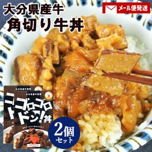 大分県産牛使用 角切り牛丼の素 ゴロゴロドン丼 160g(1人前)×2個 国産牛 レトルト HellCompany ヘルカンパニー メール便｜cosmebox