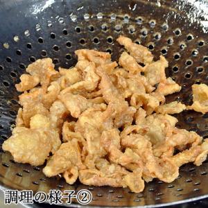 訳あり さっぱりサクサク食感 東洋軒のとり皮天...の詳細画像4