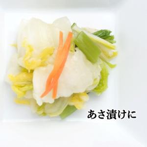瀬戸内海の焼き塩と芽かぶ 万能あさ漬け塩 29...の詳細画像1