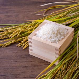 令和7年度産 中野のうるち米 にじのきらめき(...の詳細画像1