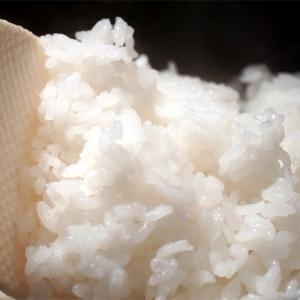 令和7年度産 中野のうるち米 にじのきらめき(...の詳細画像2