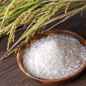 令和7年度産 中野のうるち米 にじのきらめき(...の詳細画像1