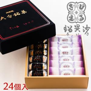 ざびえる本舗 大分銘菓詰合 24個入 (ざびえる12個/瑠異沙 (るいさ) 12
