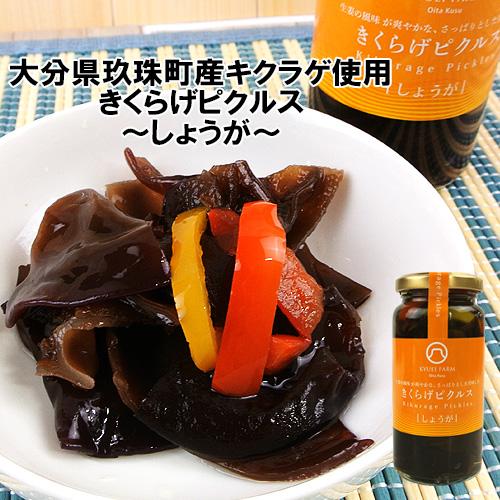 大分県玖珠町産キクラゲ使用 きくらげピクルス しょうが 80g ほんのりしょうがの香りが漂うピクルス...
